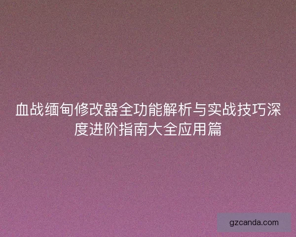 血战缅甸修改器全功能解析与实战技巧深度进阶指南大全应用篇
